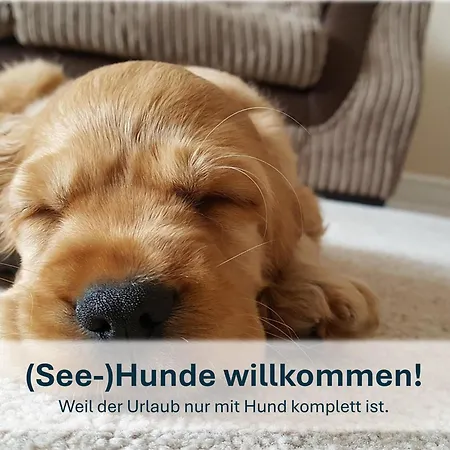 Apartament Heringsdorf, Sonnige Fewo, 4 Schlafzimmer , 7 Pers Heidi *