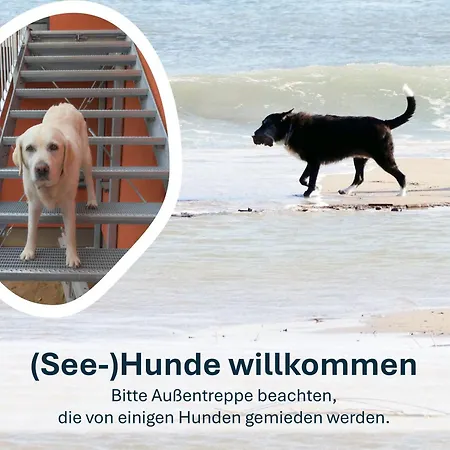 Heringsdorf, Sonnige Fewo, 4 Schlafzimmer , 7 Pers Heidi *