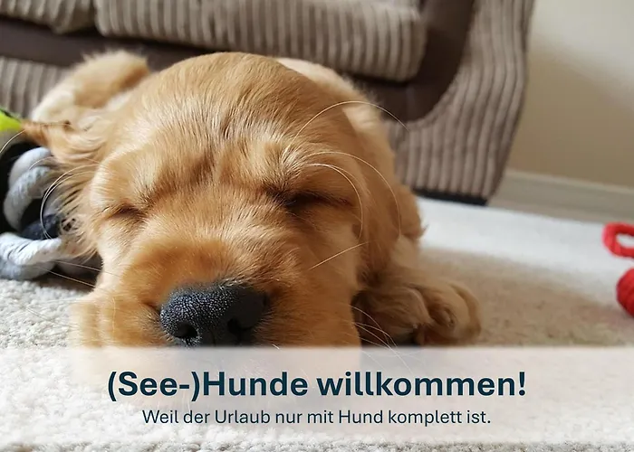 Apartmán Heringsdorf, Sonnige Fewo, 4 Schlafzimmer , 7 Pers Heidi *