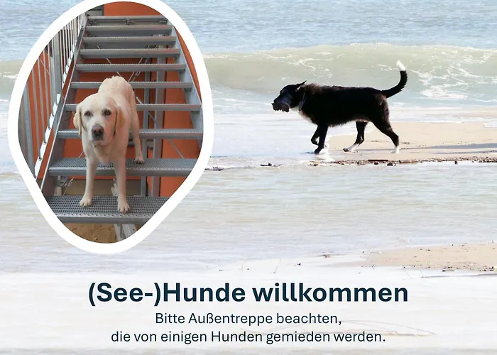 Heringsdorf, Sonnige Fewo, 4 Schlafzimmer , 7 Pers Heidi *